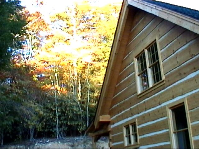 {leaved behind house}